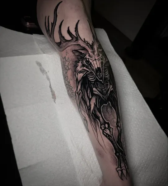 Dragon, Animal