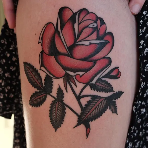 Flower, Rose, Nature