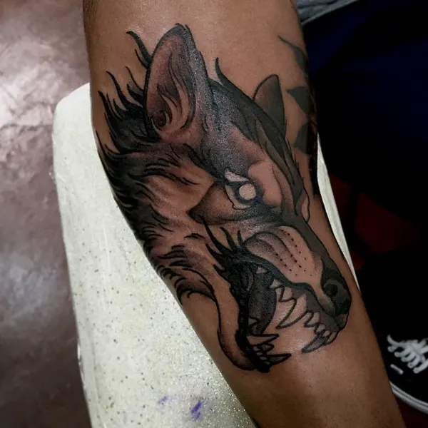 Tiger, Animal