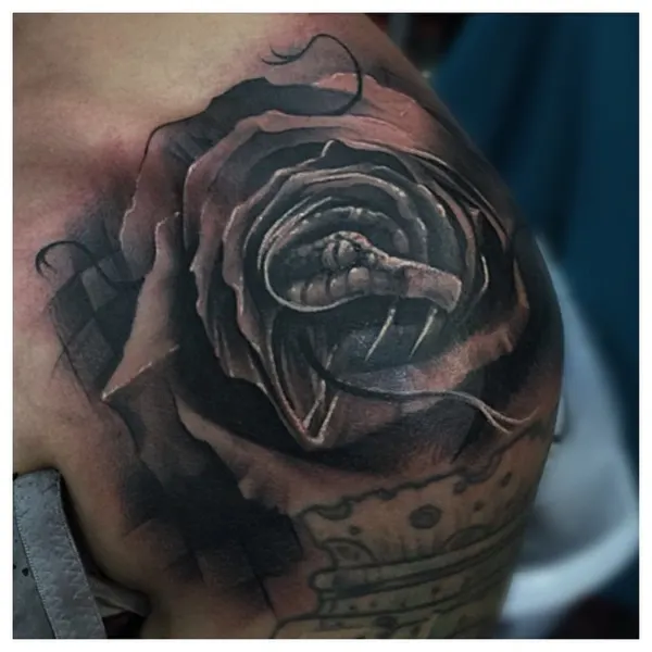Flower, Rose, Nature