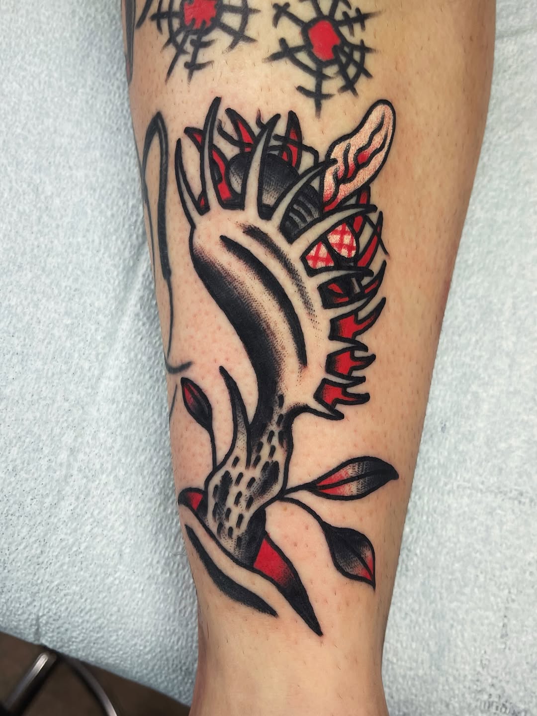 darius_cappelli