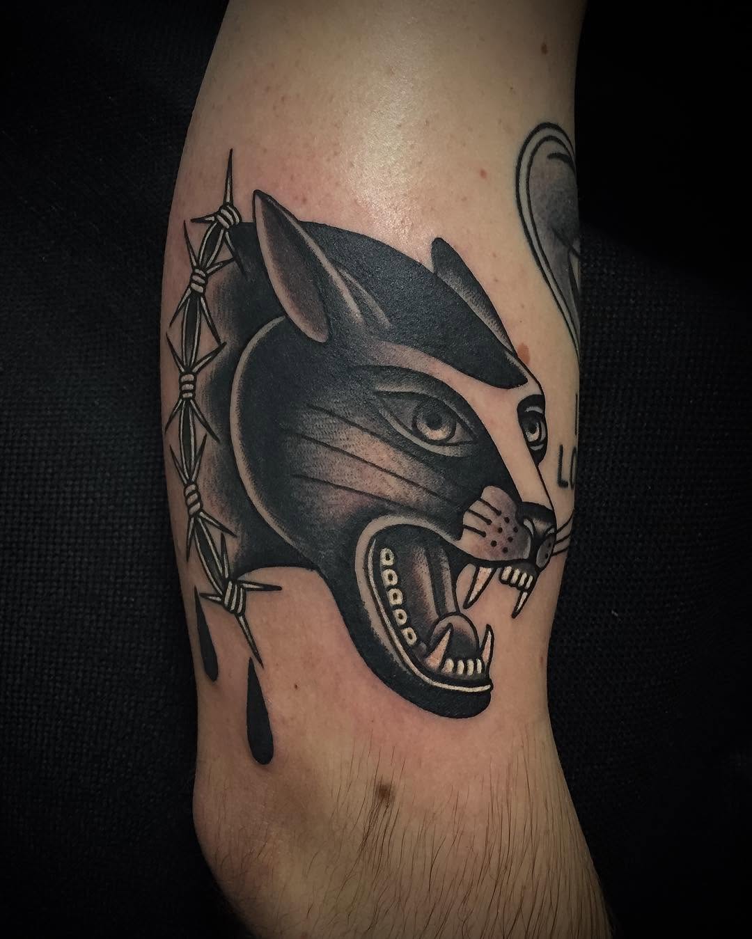 Animal
