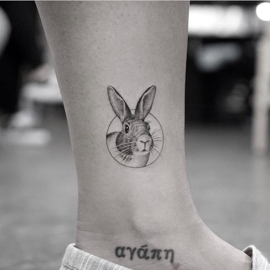 Animal, 토끼