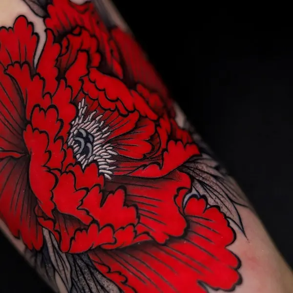 Flower, Rose
