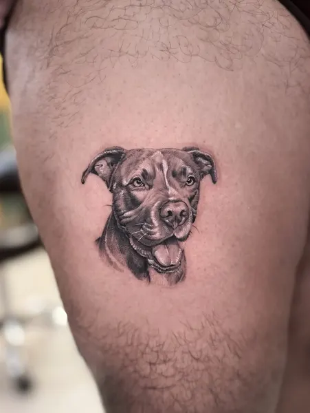 Animal