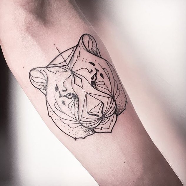 Tiger, Animal