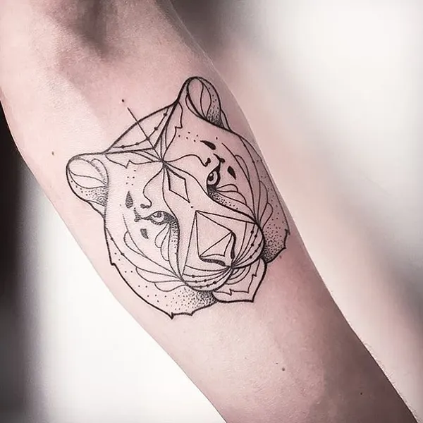 Tiger, Animal