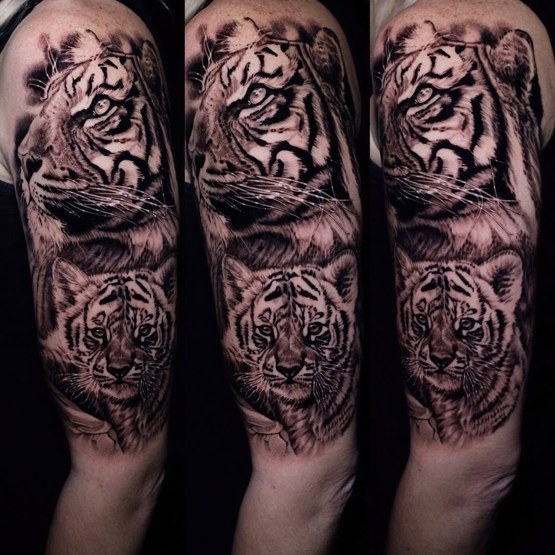 Tiger, 일본 호랑이, 중국 호랑이, 한국 호랑이