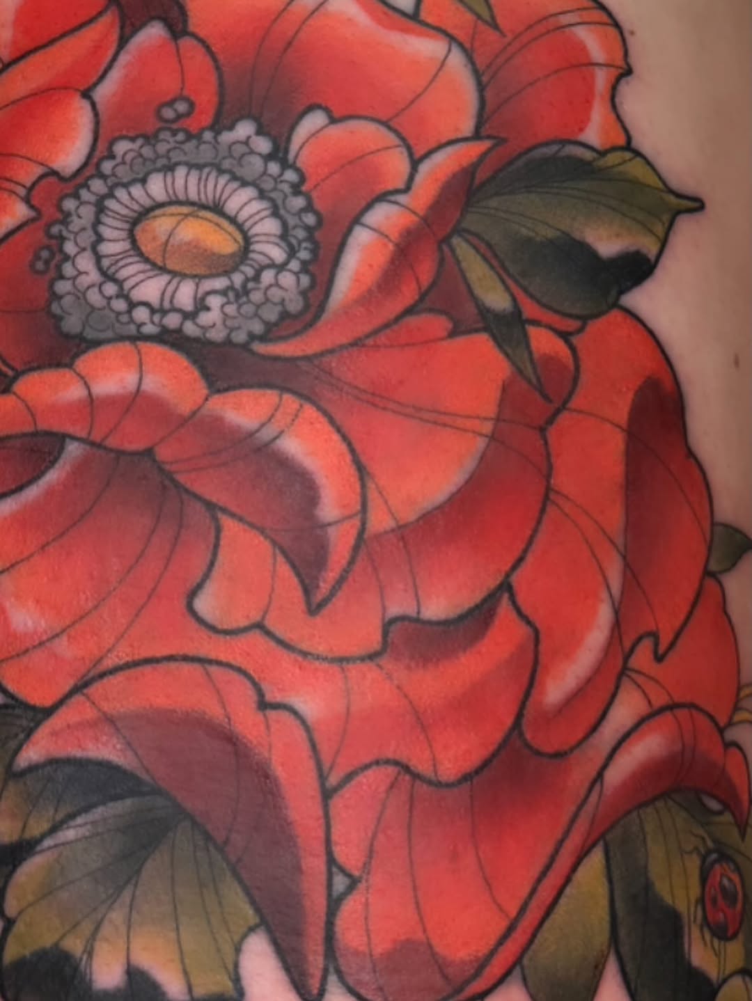 Rose, Flower