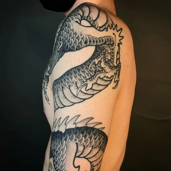 드래곤 라이더, Dragon, 한국 용