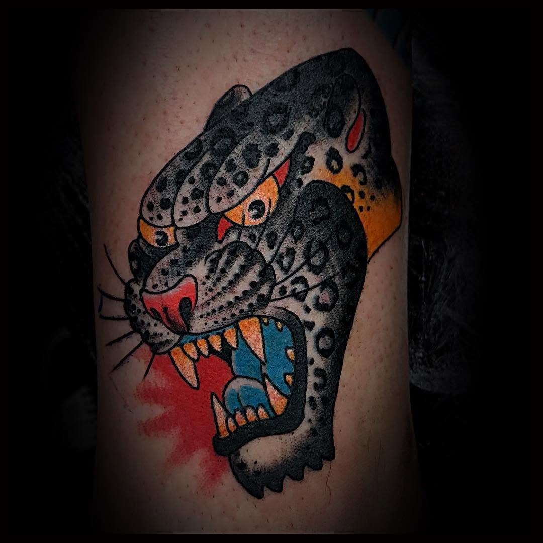 Tiger, Animal, 팬서