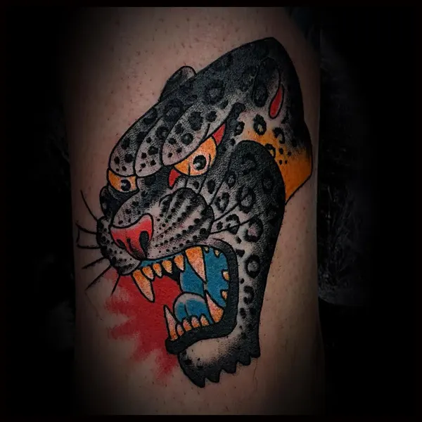 Tiger, Animal, 팬서