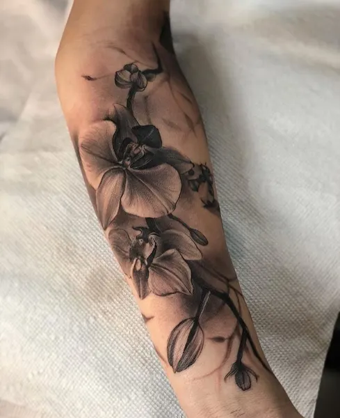 Flower, 난초