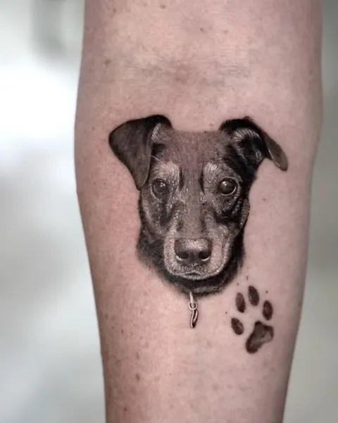 Animal