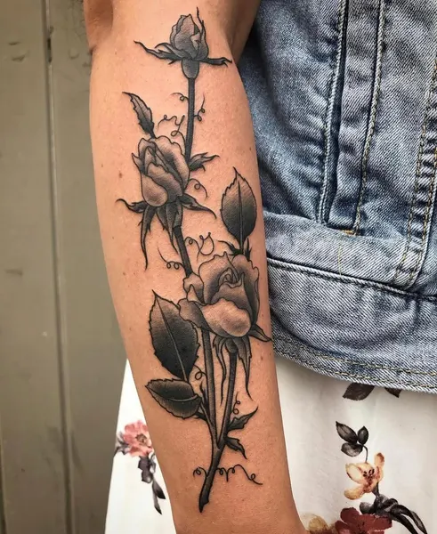 Flower, Rose