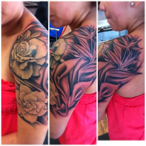 Flower, Rose