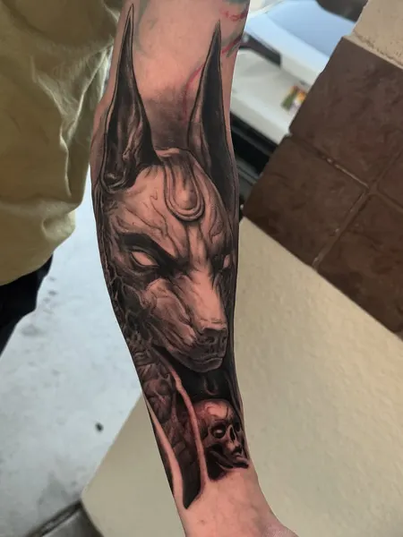 Animal, Tiger