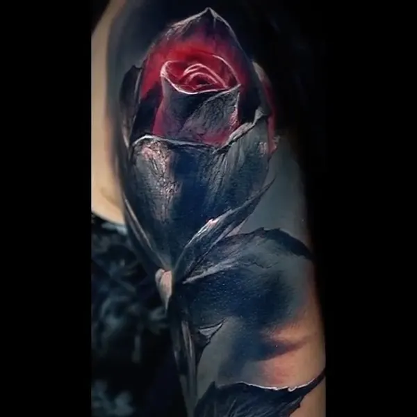 Flower, Rose