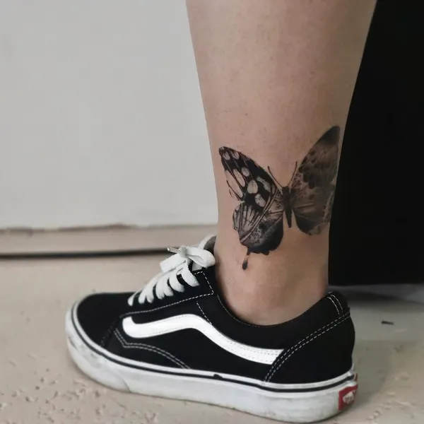 Animal, Nature, 나방, 매미