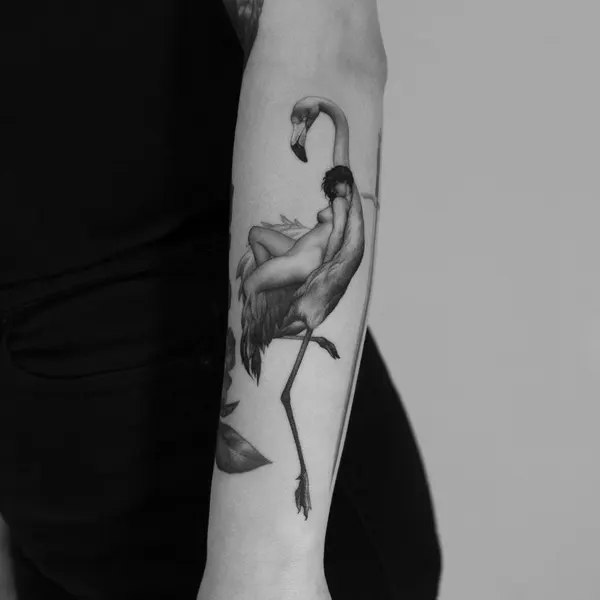 Flower, Animal, 플라밍고