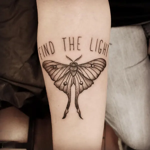 Animal, Nature