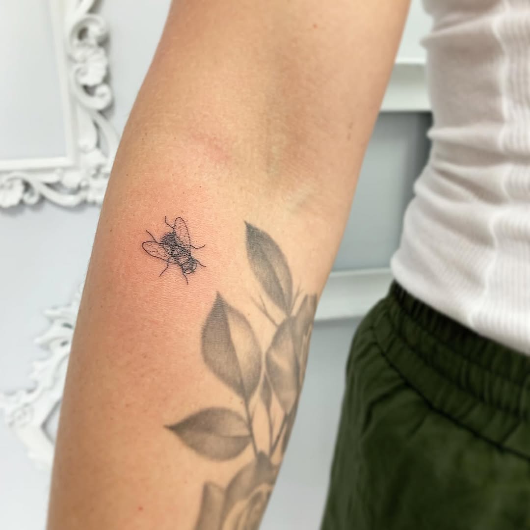 Flower, Rose, 무당벌레