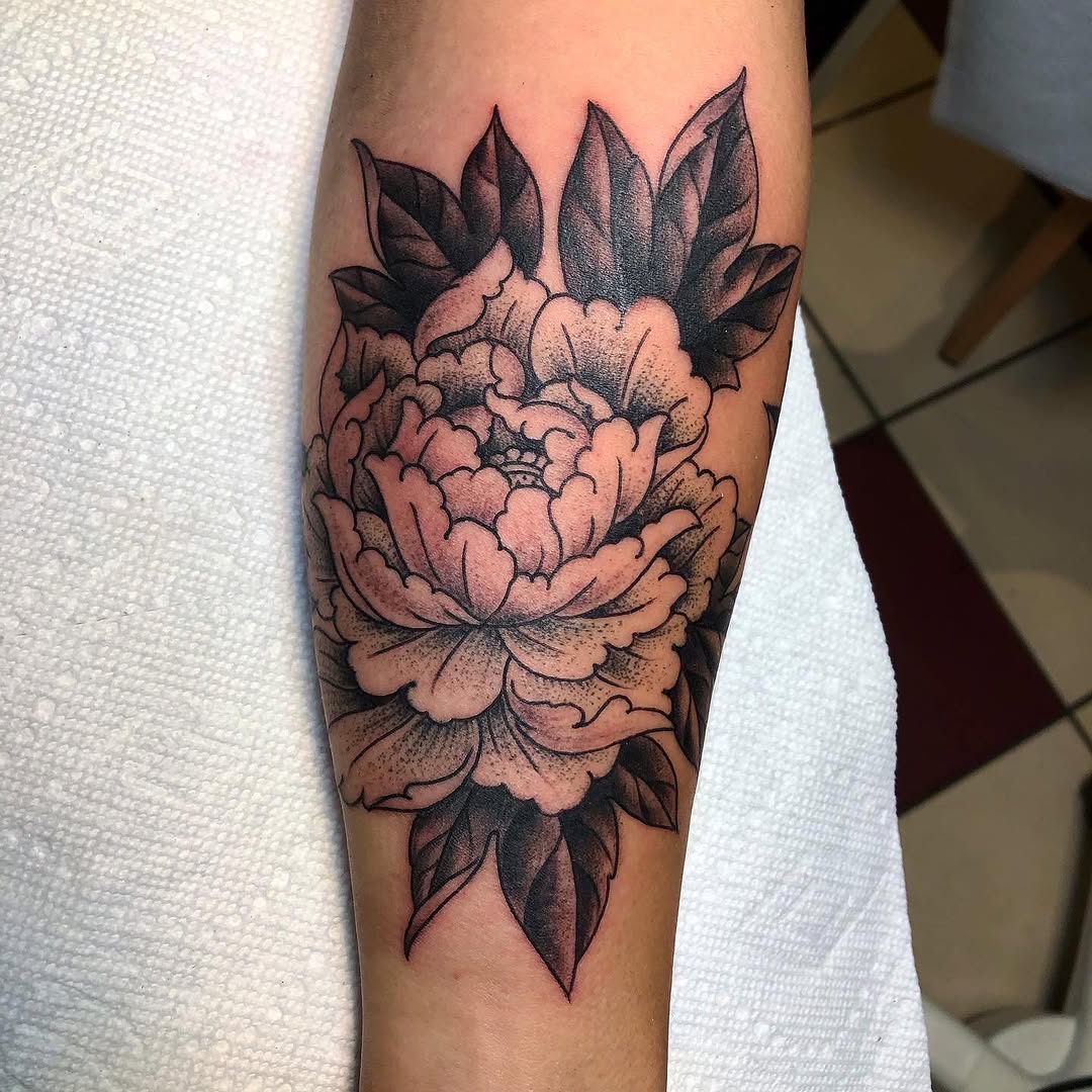 Flower, Rose, 목련