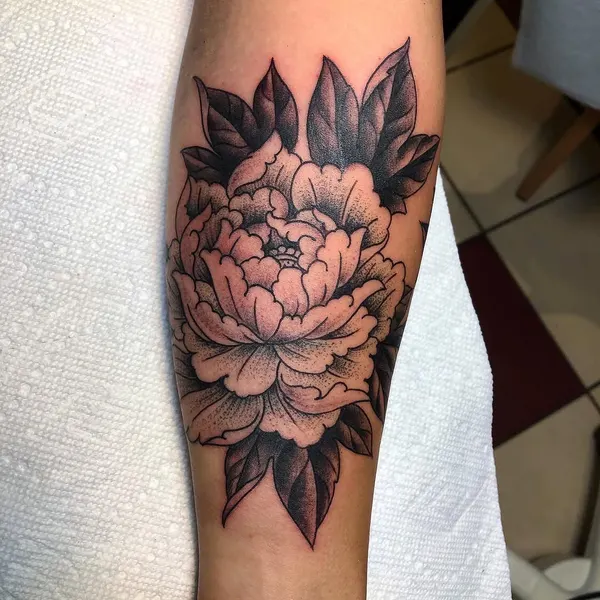 Flower, Rose, 목련