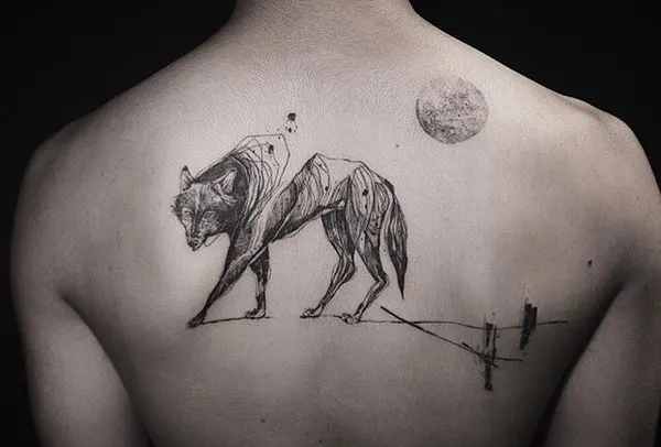 소, Animal, 멧돼지, 황소