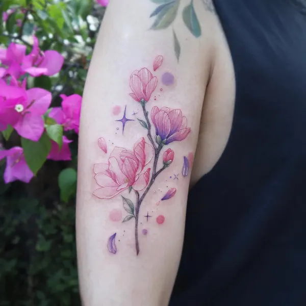 Flower, Rose, 모란
