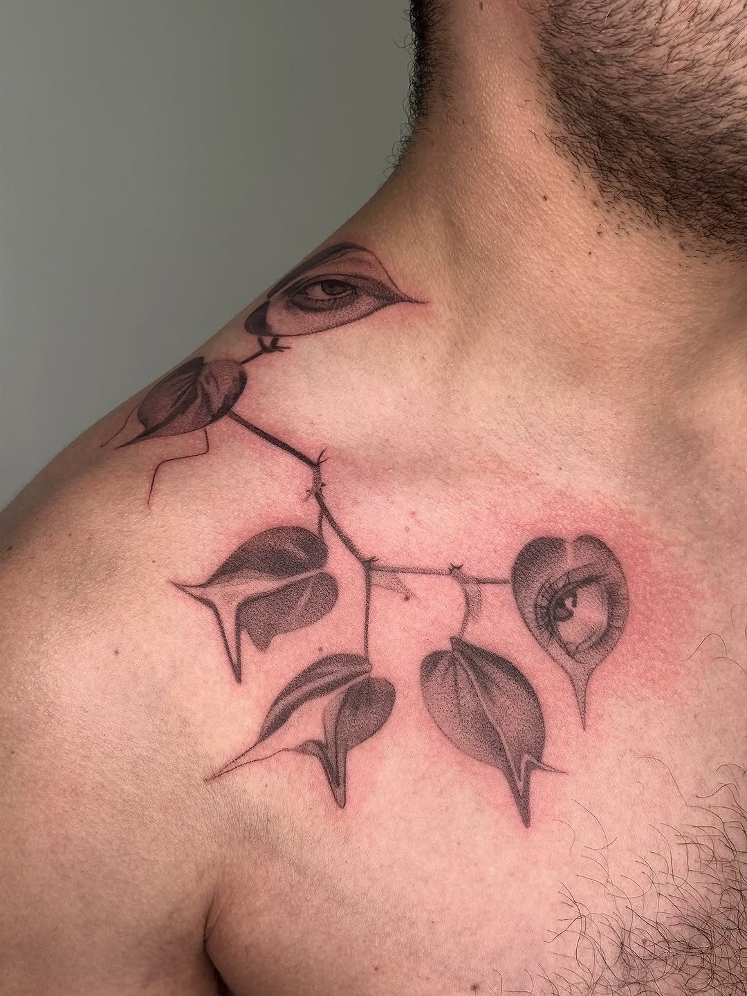Flower, Rose, Nature