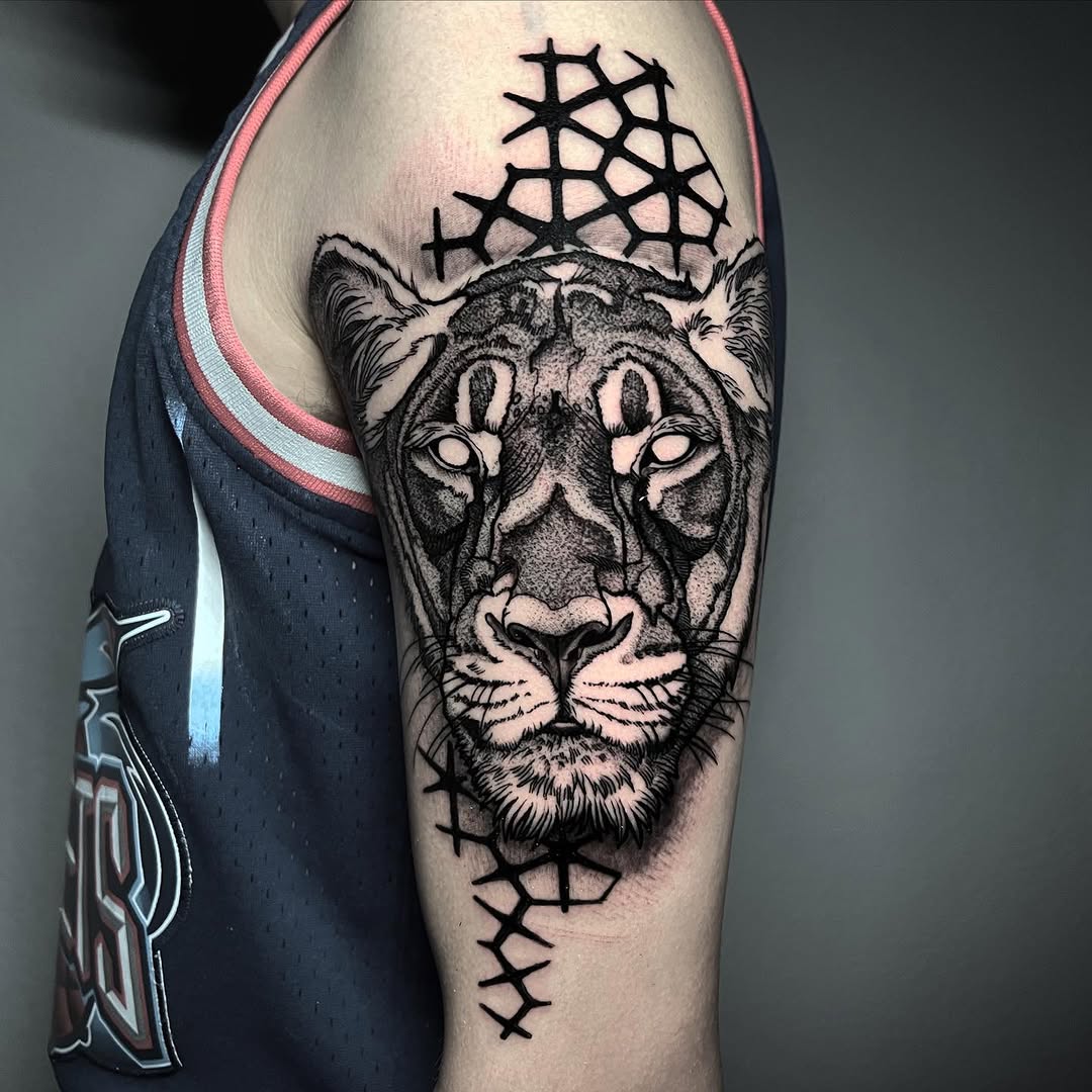 Tiger, 표범