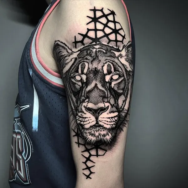 Tiger, 표범
