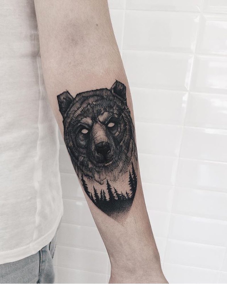 Animal, Tiger, 곰, 멧돼지, 코알라, 판다, 너구리