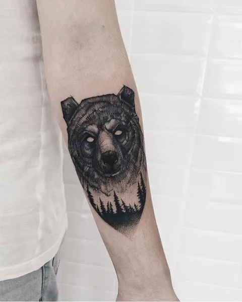 Animal, Tiger, 곰, 멧돼지, 코알라, 판다, 너구리