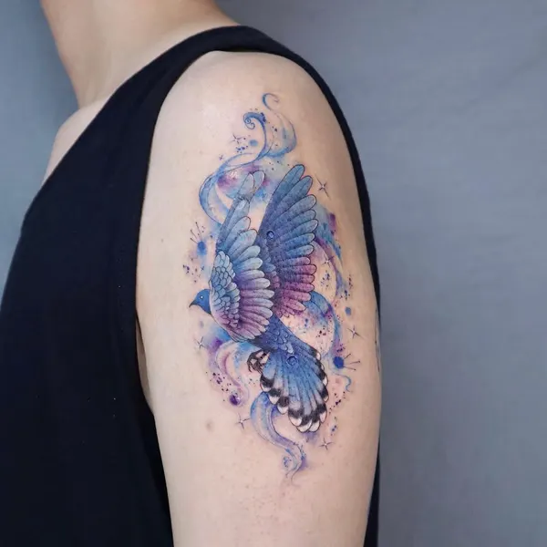 은하, 토성, 혜성, 오로라, 코스모스, SF