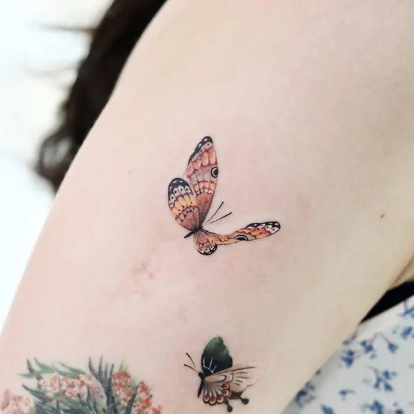 Animal, Nature