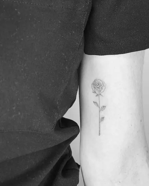 숫자, Lettering, 정의, 좌표, 믿음, 평화, 해태, 희망, 양면성, 로마 숫자, 보호 상징