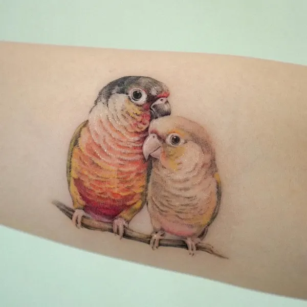 Animal, 앵무새, 공작