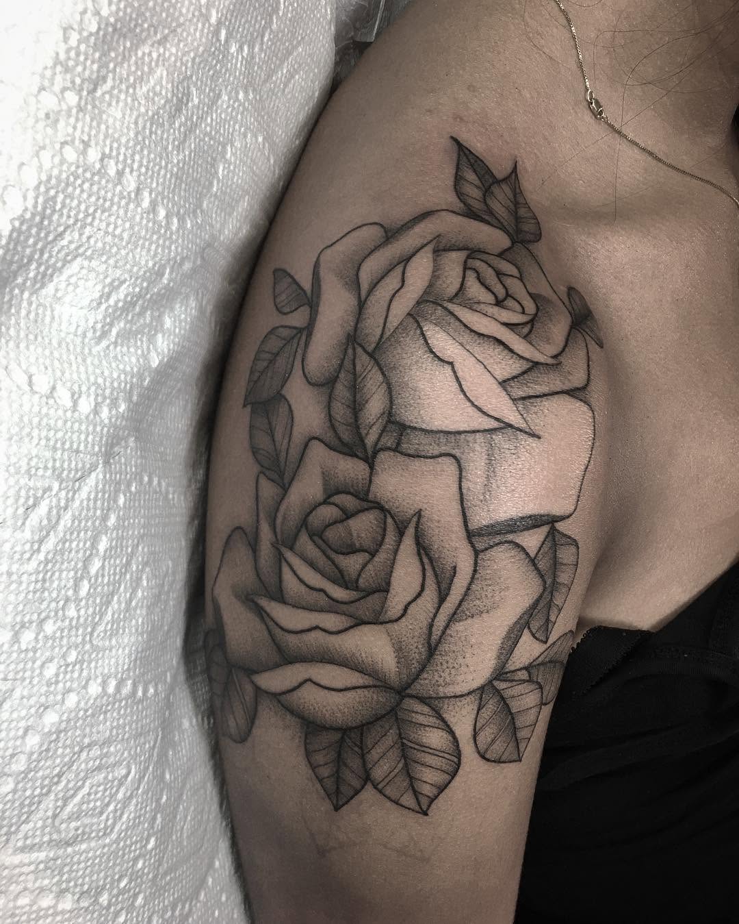 Flower, Rose, Nature