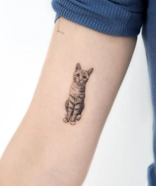마네키네코, 여우 가면, 고양이