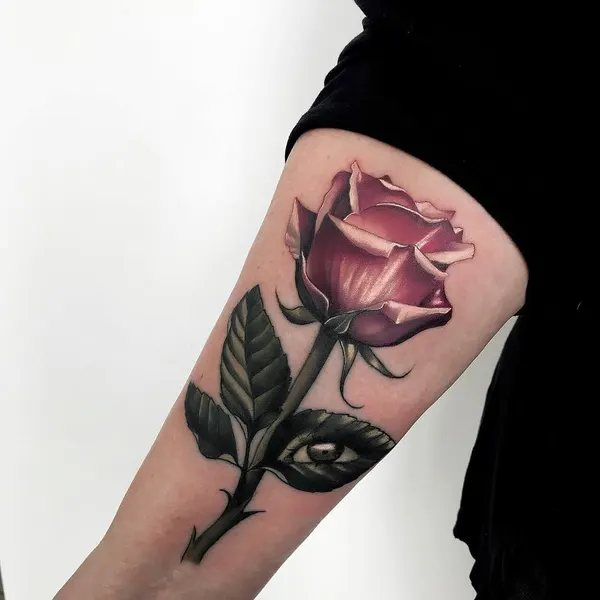 Flower, Rose, Nature