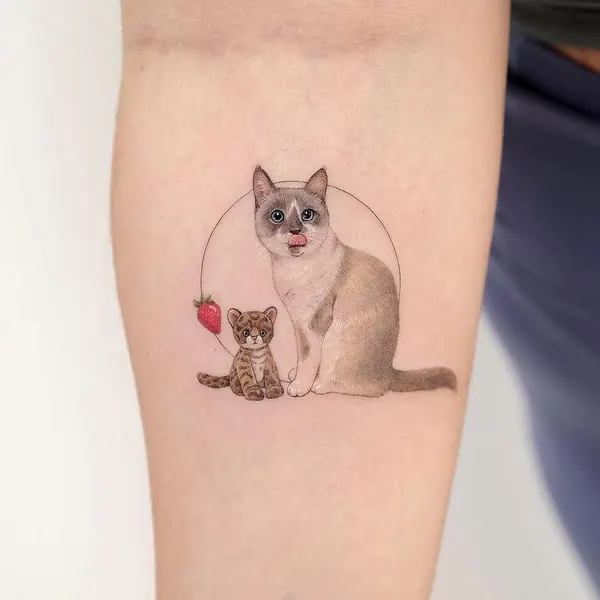 고양이