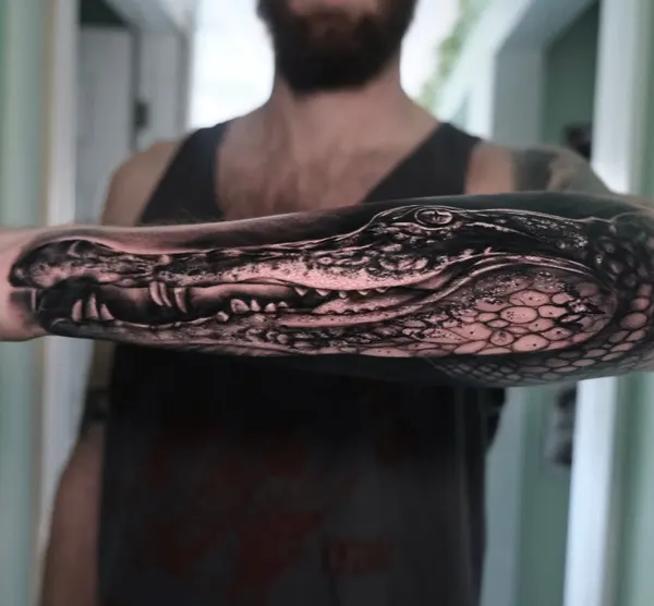 Dragon, 악어