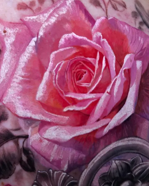 Flower, Rose, Nature