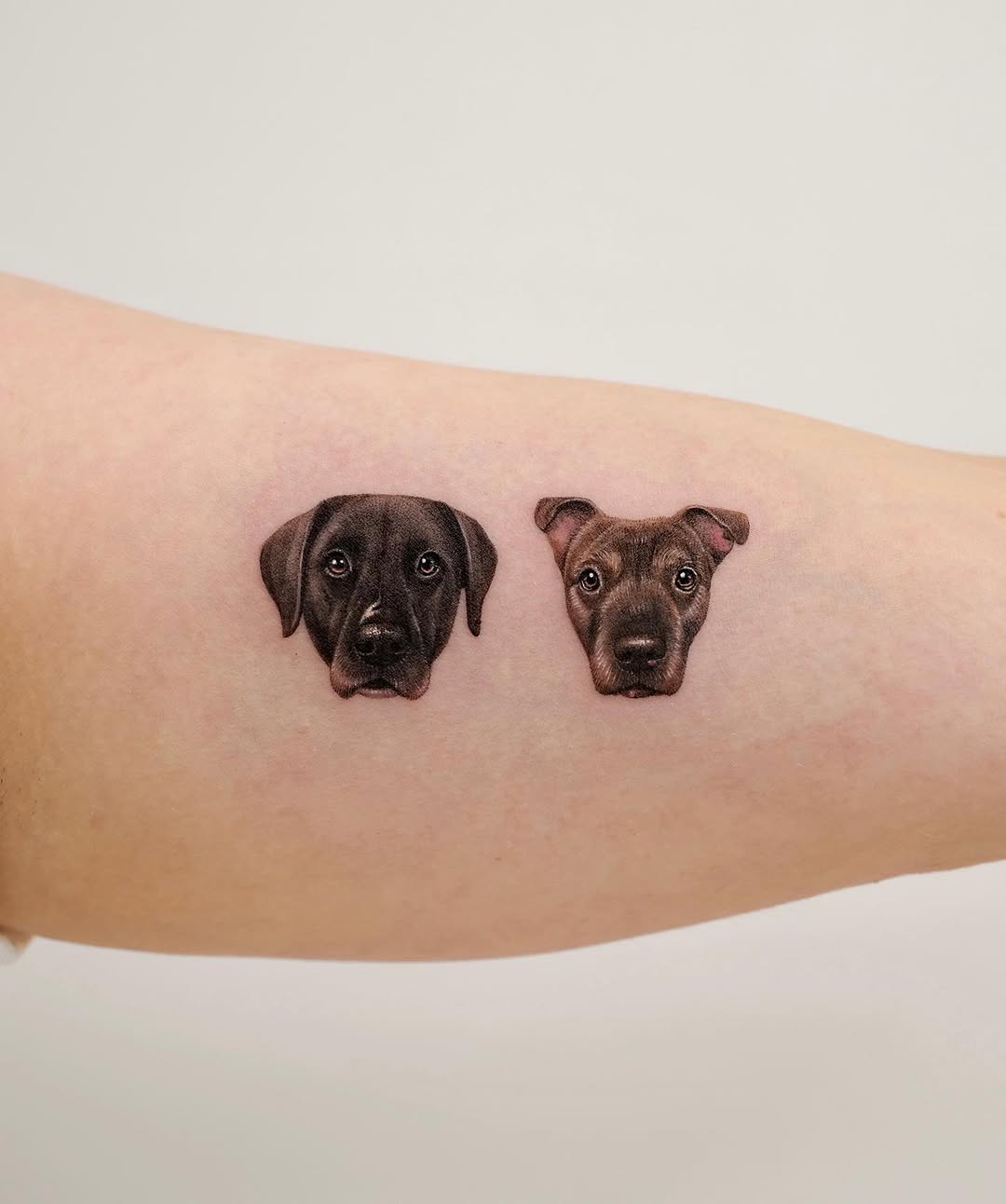 paw.tattoo