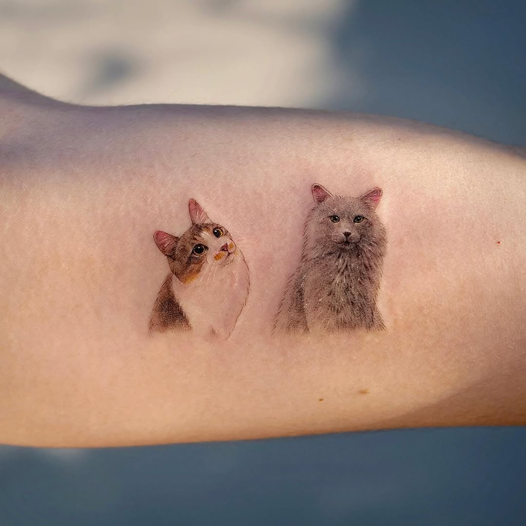 쥐, 다람쥐, Mini
