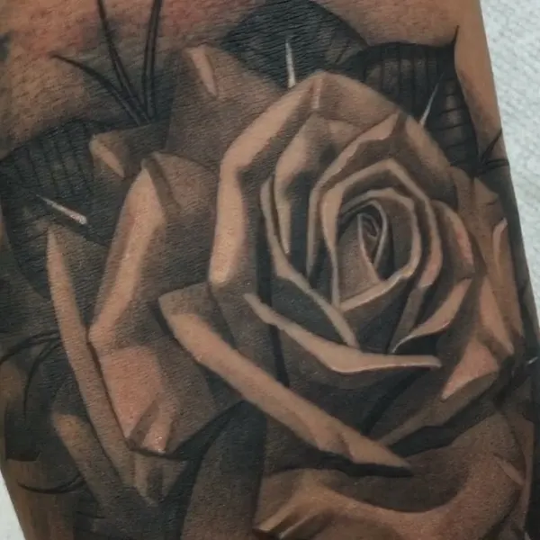 Flower, Rose