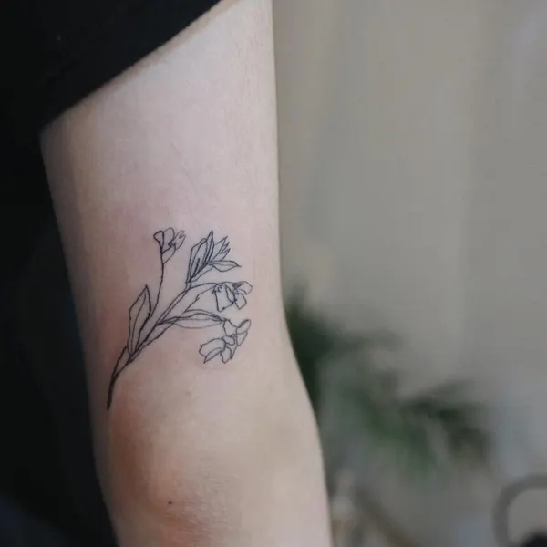 Flower, Rose