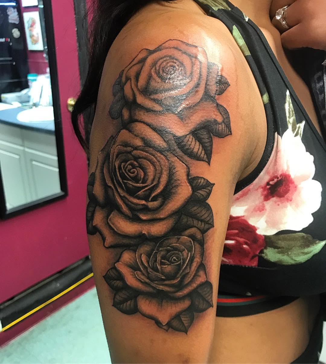 Flower, Rose, Nature
